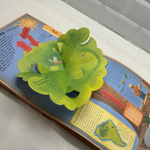 How the World Works: A Hands-On Guide to Our Amazing Planet (Explore the Earth) - Picture 11 of 13